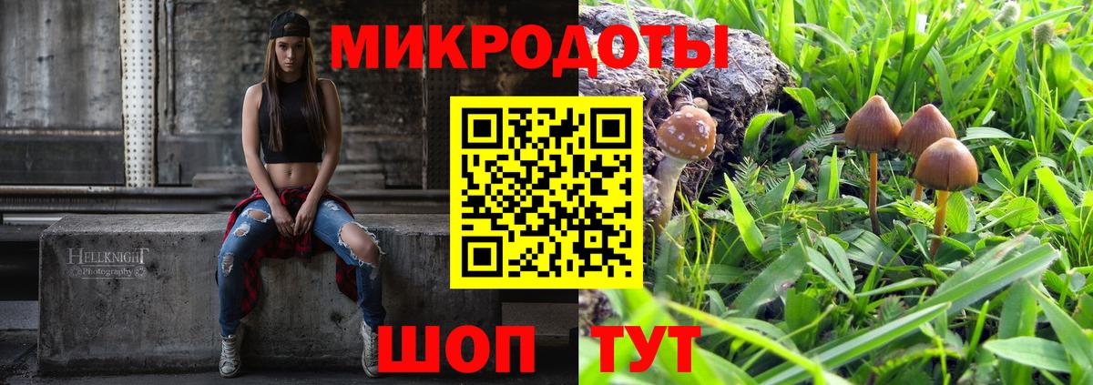 Псилоцибиновые грибы Psilocybe Камышин