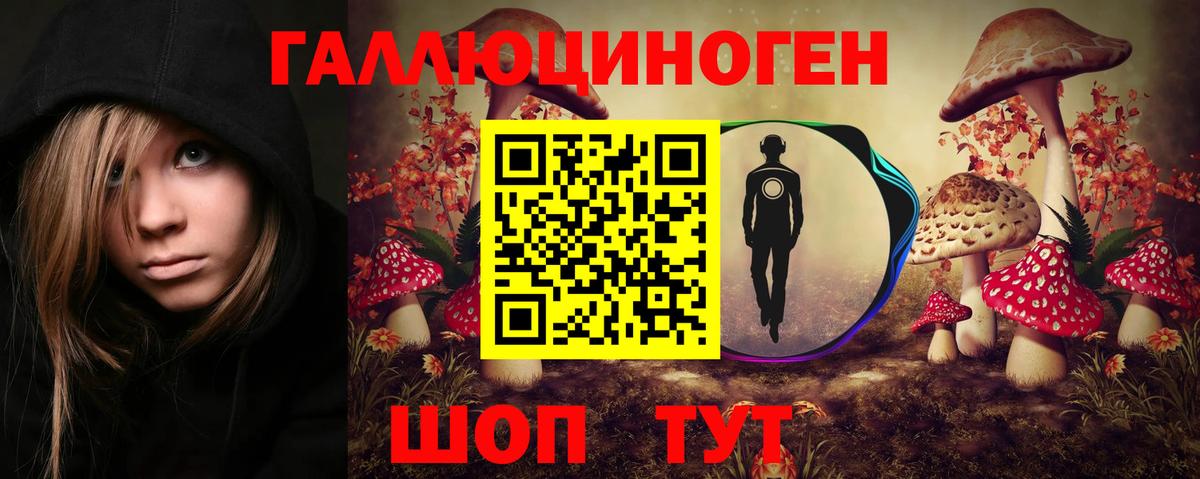 Псилоцибиновые грибы Cubensis  Вход с VPN  Камышин 